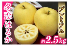 りんご  「プレミアム 冬恋はるか」 糖度16度以上【先行予約 12月発送予定】 数量限定 岩手県産 高級 りんご リンゴ 林檎 冬恋 はるか フルーツ くだもの 果物 【冬恋研究会】 (AI021)