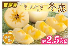 りんご 「そばかす冬恋」（自家用「冬恋 はるか」 サビ有）  糖度15度以上【先行予約 12月発送予定】 数量限定 ★サビあり りんご★ 岩手県産 りんご リンゴ 林檎 冬恋 はるか フルーツ くだもの 果物 訳あり 【冬恋研究会】 (AI023)