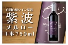 紫波メルロー【自園自醸ワイン紫波】（AL047-2）