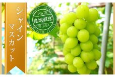 ＼先行予約／【数量限定】岩手県産 ぶどう シャインマスカット 約1kg (AR032) 9月下旬発送開始 紫波町産 贈答品 ギフト フルーツ 葡萄 ブドウ 2房 高品質 完熟 甘い 新鮮 産地直送