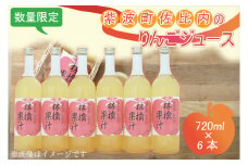 BC005 紫波町佐比内のりんごジュース（6本×720ml）