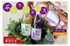 BC006-1  紫波町佐比内のぶどうジュース飲み比べセット【小原果樹園】
