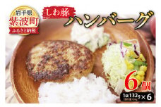 無添加【しわ豚】ハンバーグ６個 （AM005-2）