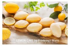 【期間限定】レモンケーキ6個セット（AQ072）