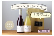＼先行予約／ 無添加 無加糖 紫波町 ぶどうジュース りんごジュース セット ストレート 100％ ノンアルコール ブドウ リンゴ (AL054-1)