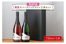 AL065-1　紫波スパークリングワイン２本セット（白・ロゼ）