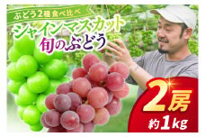 ＼先行予約／【9月下旬発送予定】シャインマスカットと旬のぶどう 食べ比べ2房セット 約1kg (DH005)