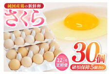 ＼12ヶ月連続お届け／純国産鶏【さくら】純たまご 30個入り 破損保証5個を含む【たまご 卵 玉子 鶏卵 純たまご 採れたて 新鮮 卵 農地直送】(AJ030)