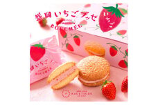 盛岡いちごブッセ 6個入 (AQ043-1)　