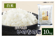 令和6年産 いのちの壱 「精米」 10kg (CA022)