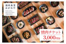DR001 おがわや焼肉チケット 3000円分