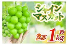 ＼先行予約／【9月下旬発送予定】シャインマスカット2房セット 約1kg (DH006)