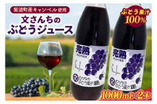 ＼ぶどう果汁100%／文さんちの完熟ぶどうジュース 1000ml×2本 (EH001)