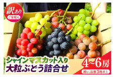 ＼訳あり ご家庭用／シャインマスカット入り 大粒ぶどうの詰合せ 4~6房 (約2.3kg) 種なし品種 3品種以上【農家さんおまかせ】 (DM004)