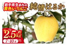 りんご  「純情はるか」 糖度14度以上【先行予約 12月発送予定】数量限定 岩手県産 りんご リンゴ 林檎 はるか フルーツ くだもの 果物 訳あり 自家用 家庭用 【冬恋研究会】 (AI024)