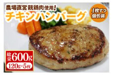 【浅沼養鶏場】チキンハンバーグ 約120g×5枚 (約600g) 農場直営親鶏肉使用 (AJ017)