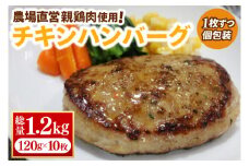 【浅沼養鶏場】チキンハンバーグ 約120g×10枚 (約1,200g) 農場直営親鶏肉使用 (AJ018)