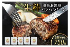 黒豚 生 ハンバーグ 5個 750g (150g×5個) 岩手県 紫波町 ハンバーグ 国産 岩手県産 黒豚 豚肉 龍泉洞黒豚肉使用 ハンバーグ 冷凍 肉 ギフト 食べ物 熨斗対応 ギフト 御歳暮 お歳暮 贈答 内祝い (DV026)