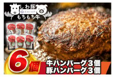＼オリジナルソース付き／ 黒毛和種 しわ もちもち牛入りハンバーグ 3個 しわ豚ハンバーグ 3個 食べ比べセット (合計6個) (AM013)