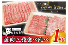 黒毛和種 しわ もちもち牛 焼肉 食べ比べセット 1,000g (モモ 250g・バラ 250g・肩(ウデ) 500g) (AM009)