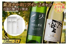 【ギフト箱入り】紫波やや辛口ワイン２本セット(モンドブリエ・リースリングリオン) (AL088) ギフト 贈り物 プレゼント 父の日 母の日 記念日 大切な人へ セット 飲み比べ ワインセット