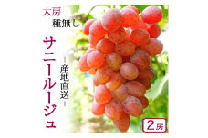 ＼先行予約／【数量限定】岩手県産ぶどう サニールージュ 約1kg (AR031) 8月下旬発送開始 希少品種 紫波町産 贈答品 ギフト フルーツ 葡萄 ブドウ 2房 高品質 完熟 甘い 新鮮 産地直送