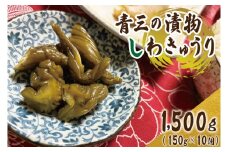 しわきゅうり10個入り【青三】（BF004）