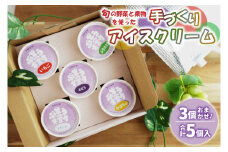 【レストランぶどうの樹】アイスクリーム 5個セット (定番2種 + 季節の味おまかせ3種) | 数量限定 手作り 詰め合わせ ギフト セット アイス 人気 国産 ​バニラ​ ぶどう 野菜 果物 フルーツ ぶどうの樹 紫波町 (EV001)