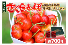 さくらんぼ【数量限定・先行予約】＼品種おまかせ／さくらんぼ食べくらべセット (佐藤錦or紅秀峰1パック + 農家さんおまかせ1パック) 合計2パック 約700g (EM001)
