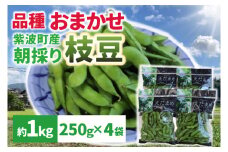 採れたて枝豆１kg（250g×4袋）新鮮 産地直送 朝採り（DI008）
