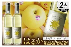 はるか りんごワイン ２本セット【ワイン フルーツワイン 岩手県 紫波町産 りんご】（EX002）