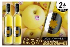 はるか りんごジュース ２本セット【ジュース 果汁100％ ストレートジュース フルーツジュース 岩手県 紫波町産 りんご】（EX001）