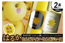 はるか りんごジュース・りんごワイン セット【ジュース 果汁100％ ストレートジュース フルーツジュース ワイン 岩手県 紫波町産 りんご】 (EX003)