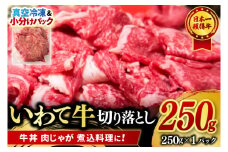 【9月より順次配送】切り落とし 肉 牛肉 小分け 真空冷凍 いわて牛 250g 岩手県産 和牛 牛肉 黒毛 和牛 切り落とし肉 大容量 肉 すき焼き 肉じゃが 煮込み 煮物 赤身 国産牛 小分け 冷凍 数量限定 (AB092)