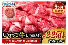＼9ヶ月連続 定期便／【9月より順次配送】切り落とし 肉 牛肉 小分け 真空冷凍 いわて牛 250g (総計 2250g) 岩手県産 和牛 牛肉 黒毛 和牛 切り落とし肉 大容量 肉 すき焼き 肉じゃが 煮込み 煮物 赤身 国産牛 小分け 冷凍 数量限定 (AB096)