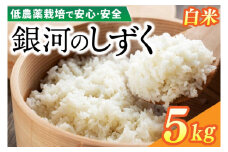 【新米】令和7年産 銀河のしずく 5kg (精米) 低農薬栽培米 生産者直送 生産地域限定ブランド米 (EI012)