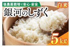 【新米】令和7年産 銀河のしずく 5kg (精米) 低農薬栽培米 生産者直送 生産地域限定ブランド米 (EI012)