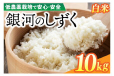 【新米】令和7年産 銀河のしずく 10kg (精米) 低農薬栽培米 生産者直送 生産地域限定ブランド米 (EI013)