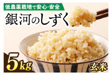 【新米】令和7年産 銀河のしずく 5kg (玄米) 低農薬栽培米 生産者直送 生産地域限定ブランド米 (EI017)
