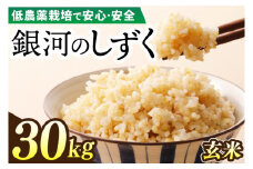 【新米】令和7年産 銀河のしずく 30kg (玄米) 低農薬栽培米 生産者直送 生産地域限定ブランド米 (EI020)