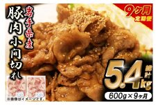 ＼9ヶ月連続 定期便／【岩手県産豚肉】小間切れ600g (300g×2パック) (総計 5.4kg) 大容量 肉 冷凍 小分け しゃぶしゃぶ 焼肉 お弁当 おかず 岩手 いわちく 紫波町（AB137）