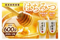 純粋はちみつ 300g×2本（アカシア・百花蜜） (ES001)