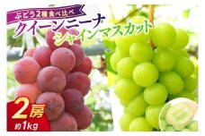 ＼受付終了まであとわずか！／【数量限定】ぶどう 2種 食べ比べ クイーンニーナ/シャインマスカット 2房 (約1kg) 希少品種 岩手県紫波町産 ぶどう 食べ比べ 2種 セット 贈答品 ギフト フルーツ 葡萄 ブドウ 2個 高品質 完熟 甘い 新鮮 産地直送 (AR033)