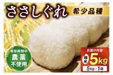 ＼新米 10月下旬発送開始予定／ ★令和7年産★ 新米 ささしぐれ 5kg（精米）ふるさと納税 米 岩手県 (DE006)