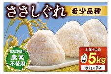 ＼新米 10月下旬発送開始予定／ ★令和7年産★ 新米 ささしぐれ 5kg（玄米）ふるさと納税 米 岩手県 (DE008)
