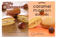 ＼期間限定／花月堂【人気2種類セット 12個入り】盛岡キャラメルマロンブッセ 6個入り & 八幡平の樹氷チョコマロン 6個入り (AQ058-2)