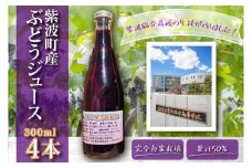 ＼紫波の高校生が作りました！／紫波町産 ぶどうジュース 300ml 4本入り (EC002)