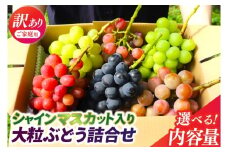 ＼訳あり ご家庭用／【B. シャインマスカット＆おまかせ1種】シャインマスカット (4～5房) ＆ 種なし 大粒ぶどう (1房) 合計 5～6房入 (2.3kg程度) (DM006)