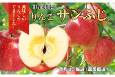 中野果樹園のサンふじ5ｋｇ（13～16個入り）