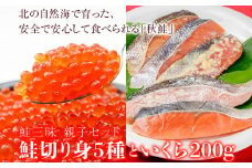 鮭三昧　親子セット　鮭切り身５種10パックとイクラ200g